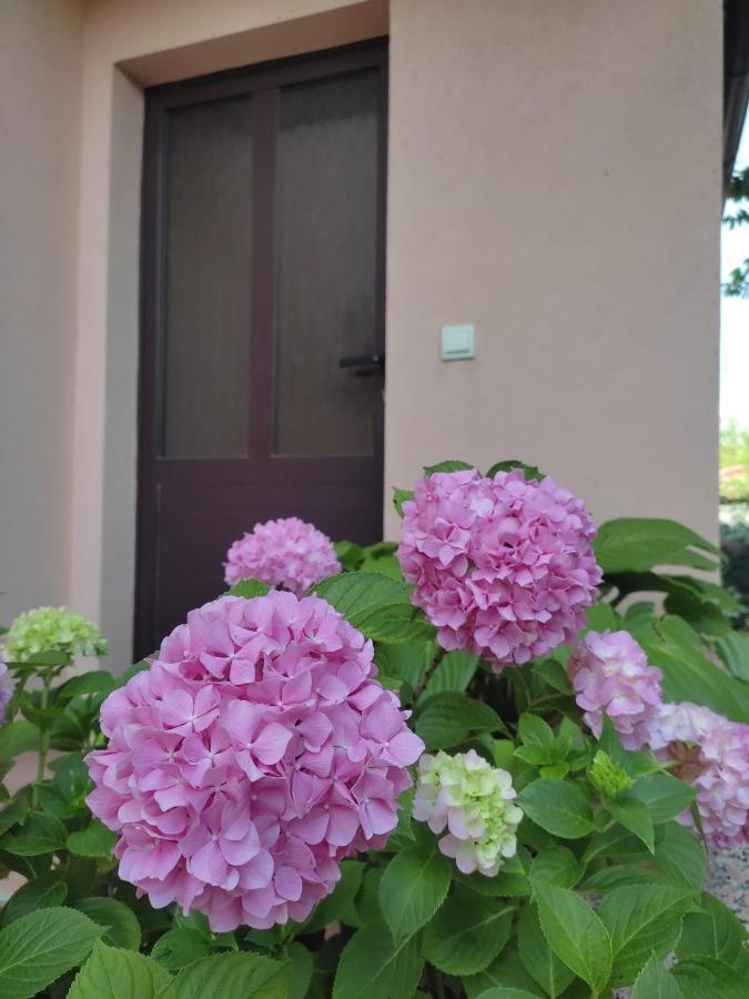 Appartamento Da Vjeri Pula Exterior photo